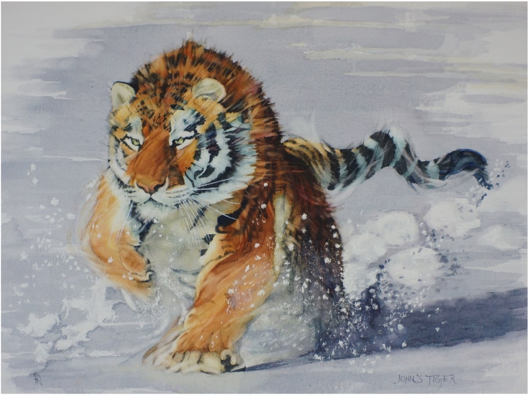 John's Tiger in memory of Dr John Lewis News Wild Life Vets